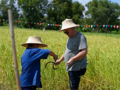 SS Rice News Convention 2025, Pattaya - Thailand